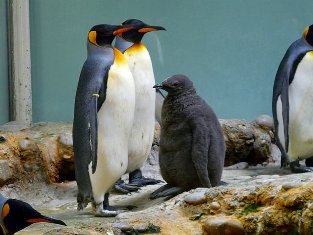 Parken am Zoo – Basel 