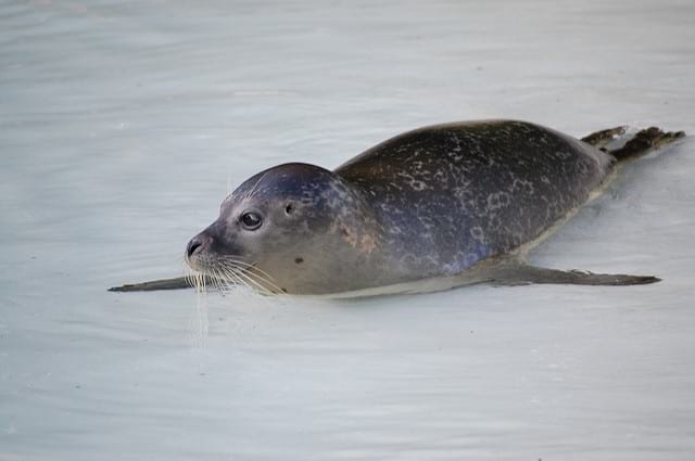 Parken am Tierpark - Bochum Parken am Tierpark - Bochum